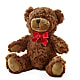 Adorable Plush Bear – A Bloom Depot, Pomona CA