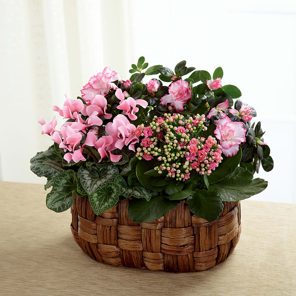Pink Assortment – A Bloom Depot, Pomona CA