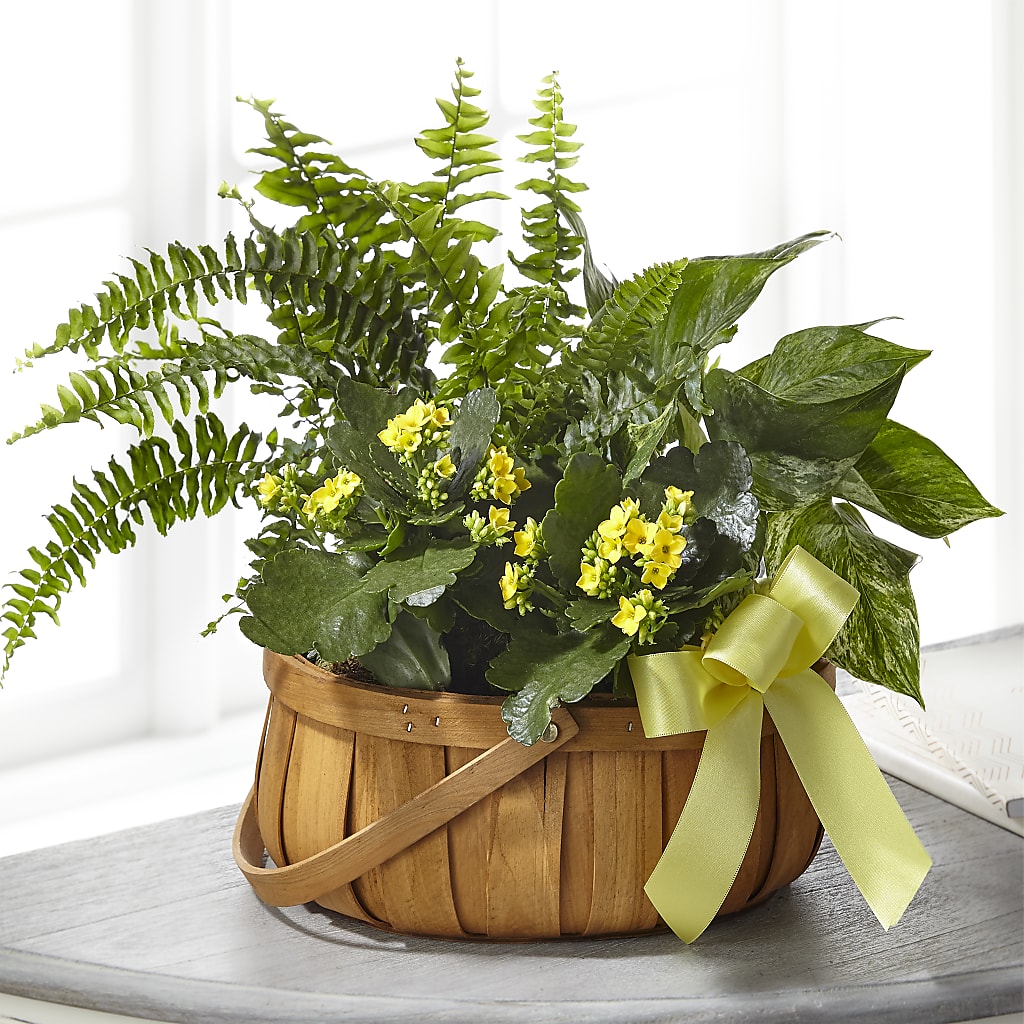 Always Dear Dishgarden – A Bloom Depot, Pomona CA