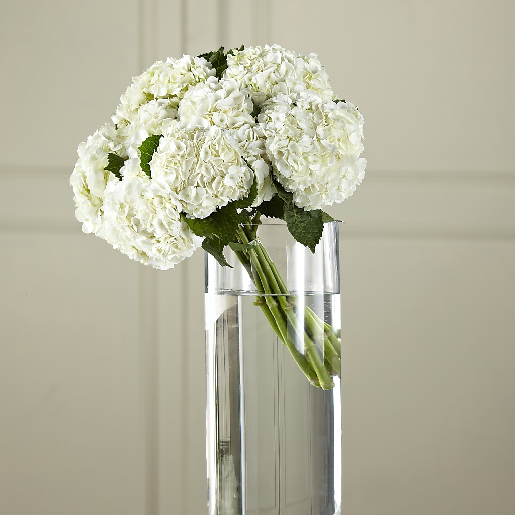 White Hydrangea Hand-Tied Bouquet – A Bloom Depot, Pomona CA
