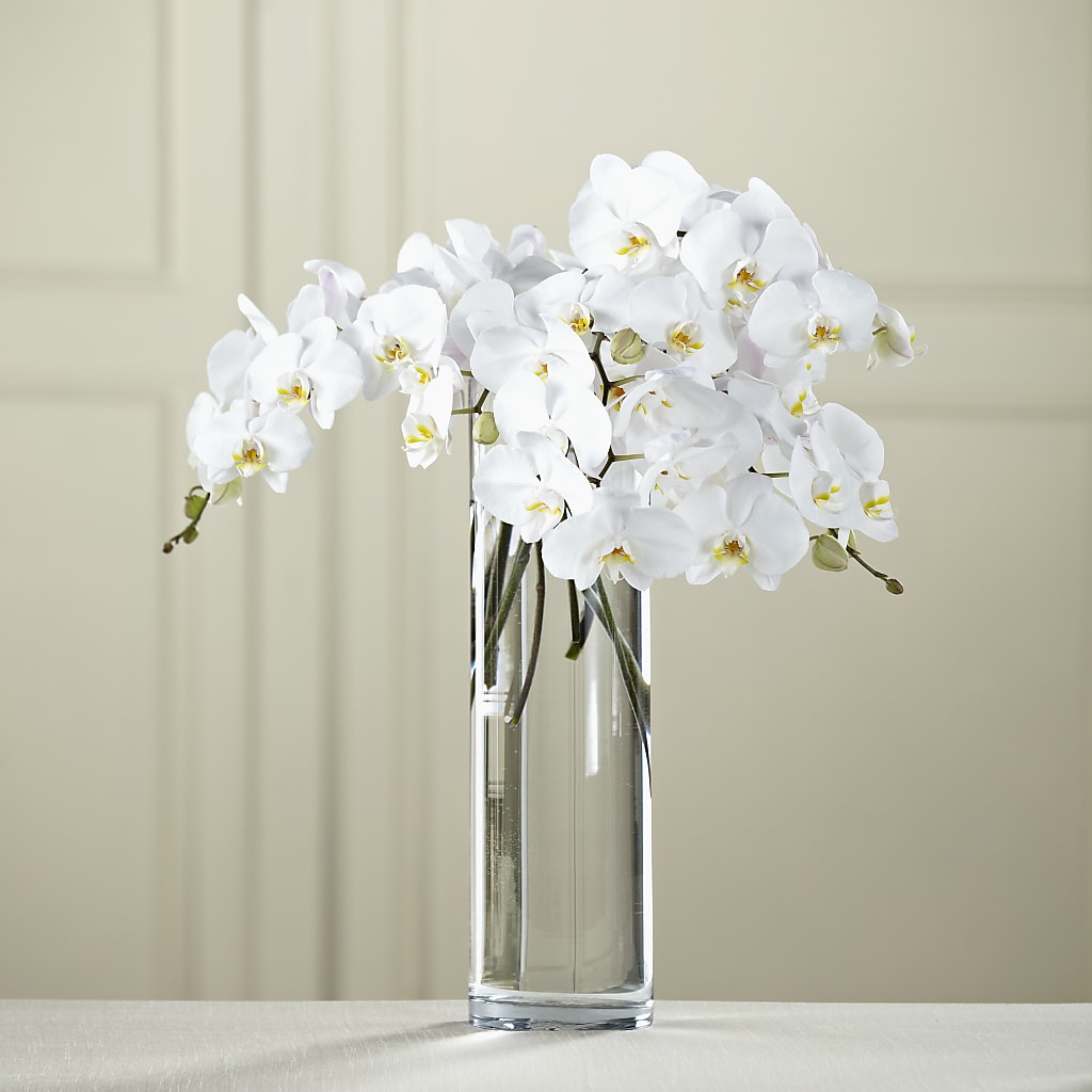 White Phalaenopsis Bouquet – A Bloom Depot, Pomona CA