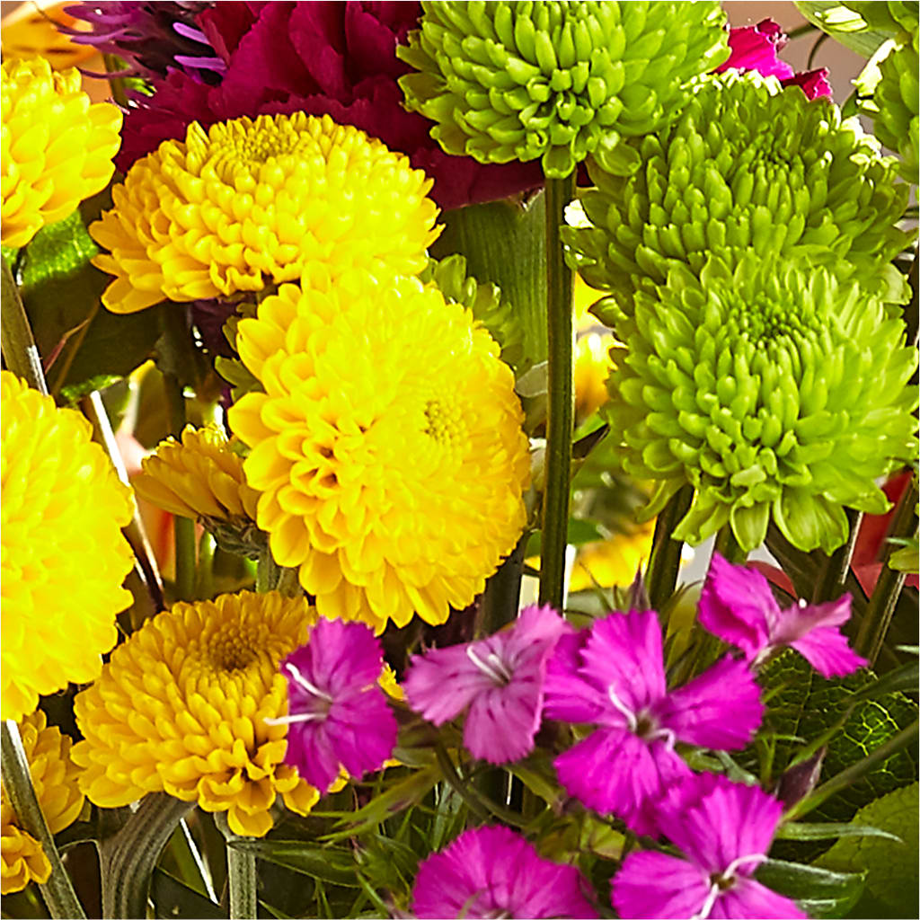 Bold & Bright – A Florist Original –  A Bloom Depot, Pomona CA