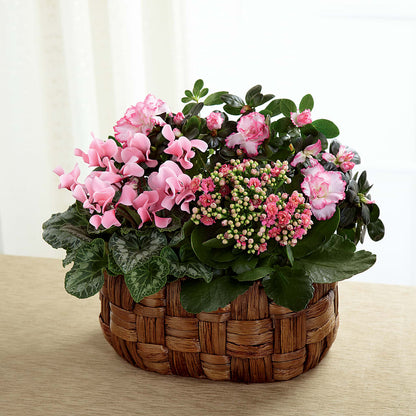Pink Assortment –  A Bloom Depot, Pomona CA