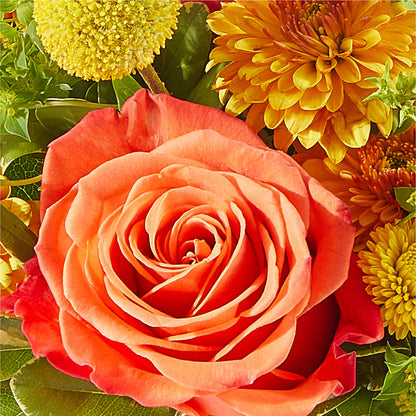 Gourdgeous Pumpkin –  A Bloom Depot, Pomona CA