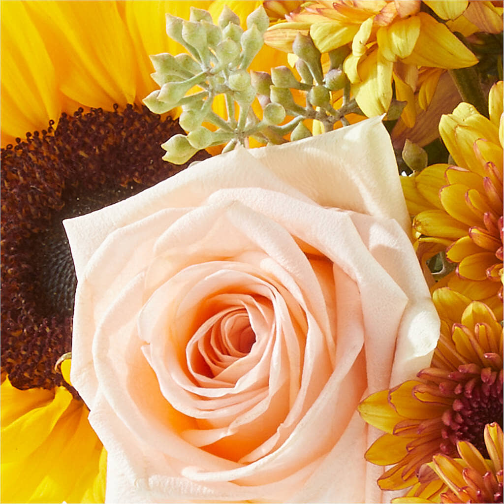 Pumpkin to Talk About Bouquet –  A Bloom Depot, Pomona CA