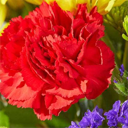 Brighter Days Bouquet –  A Bloom Depot, Pomona CA