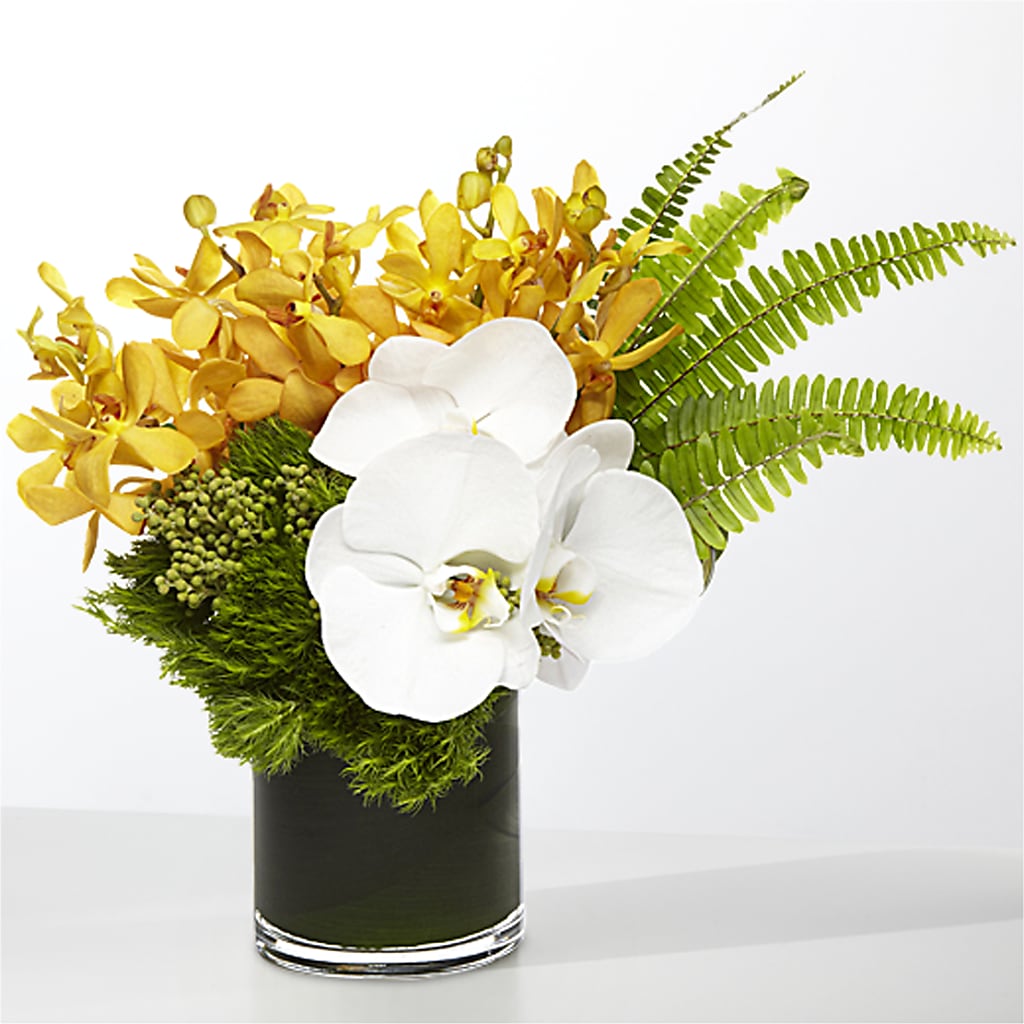 The Tropics –  A Bloom Depot, Pomona CA