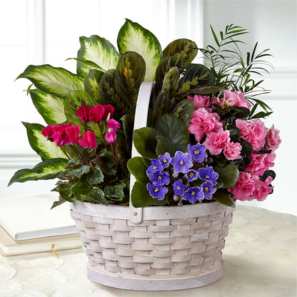 Peaceful Garden Planter –  A Bloom Depot, Pomona CA
