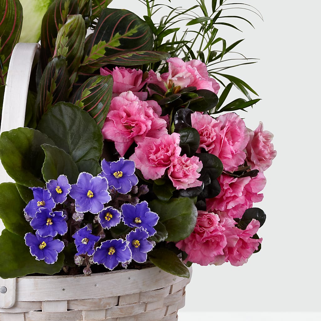 Peaceful Garden Planter –  A Bloom Depot, Pomona CA
