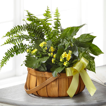 Always Dear Dishgarden –  A Bloom Depot, Pomona CA