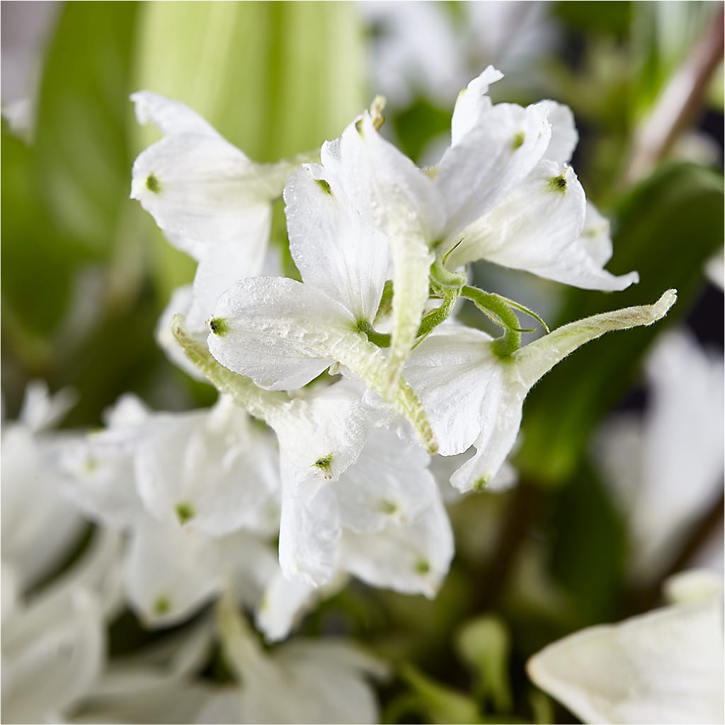 Classic Ivory – A Florist Original –  A Bloom Depot, Pomona CA