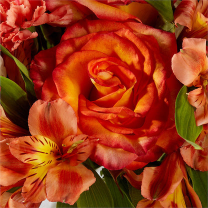 Apricot Glow Bouquet –  A Bloom Depot, Pomona CA