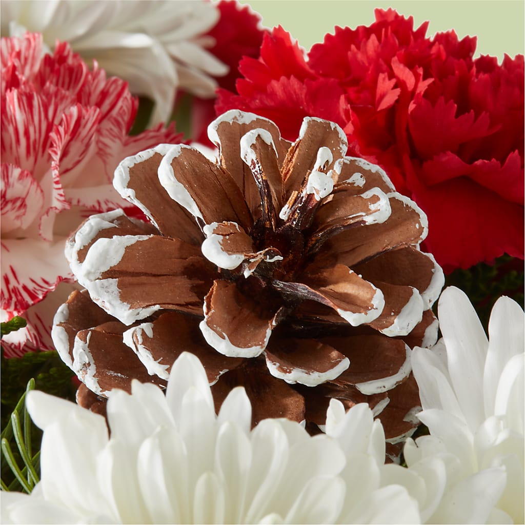 Candy Cane Lane Bouquet –  A Bloom Depot, Pomona CA