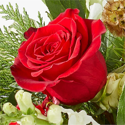 Deck the Halls Bouquet –  A Bloom Depot, Pomona CA
