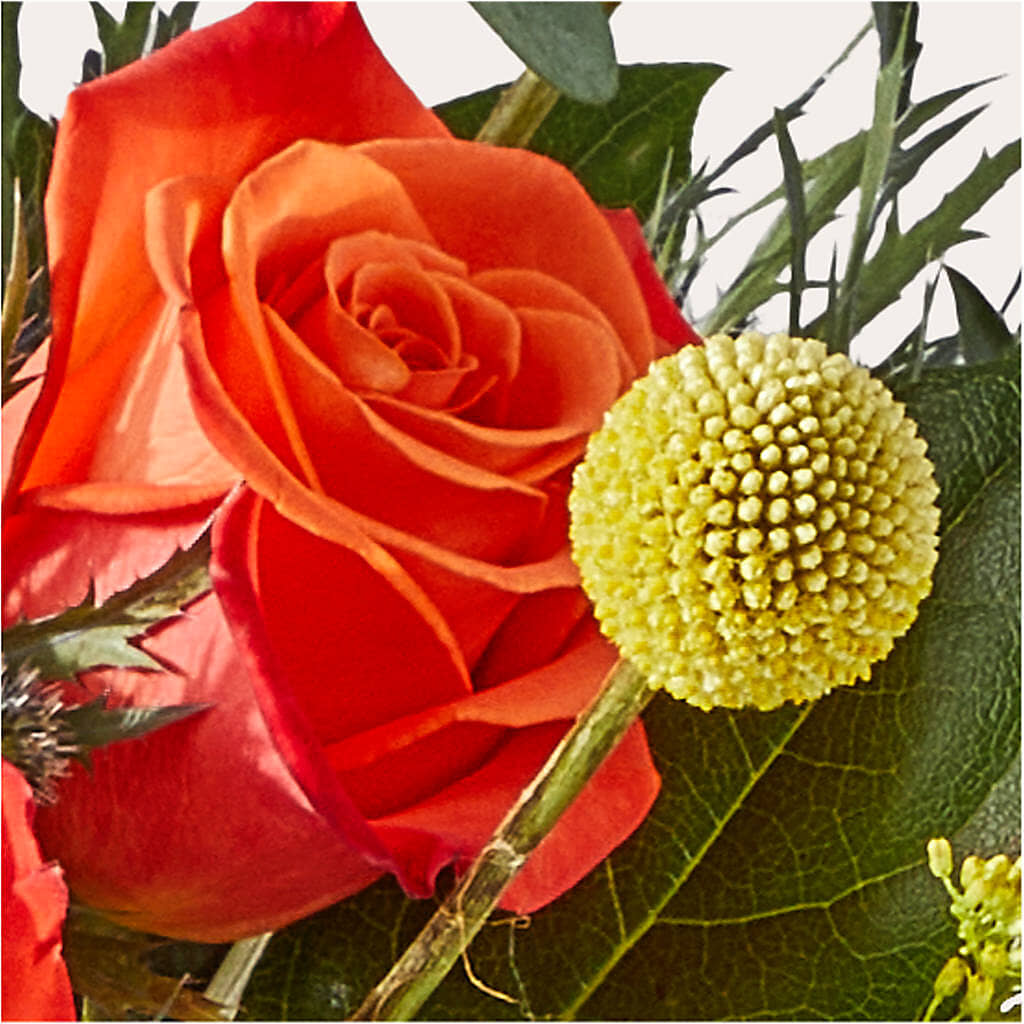 Disco Bouquet –  A Bloom Depot, Pomona CA