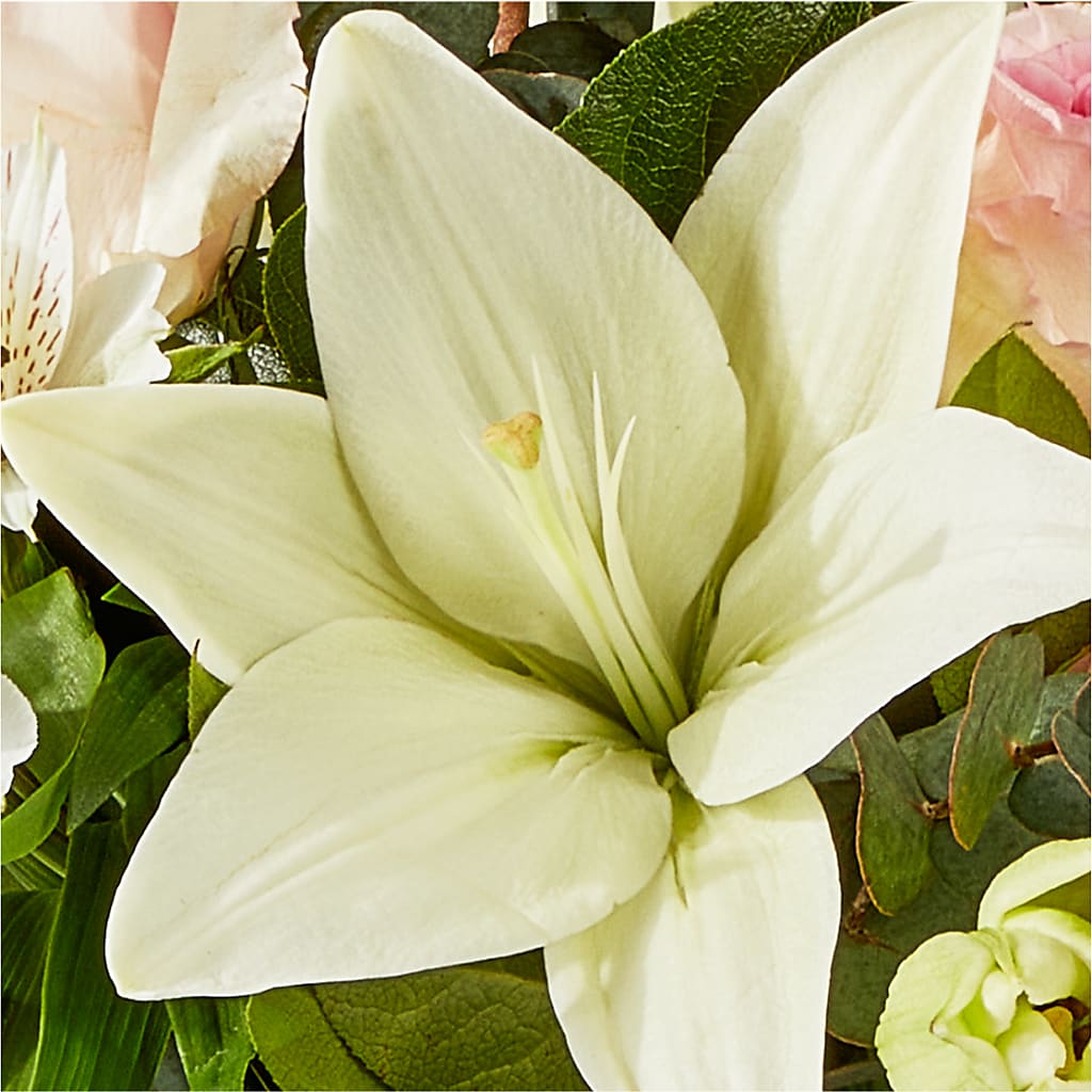 Ballet Slippers Bouquet –  A Bloom Depot, Pomona CA