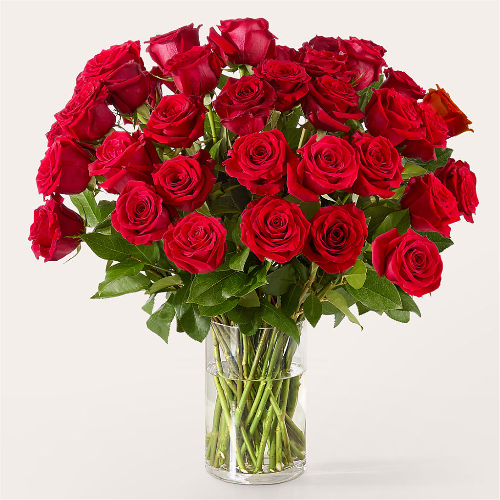 The One Red Rose Bouquet –  A Bloom Depot, Pomona CA