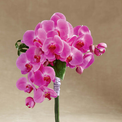 Glorious Bouquet –  A Bloom Depot, Pomona CA