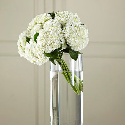 White Hydrangea Hand-Tied Bouquet –  A Bloom Depot, Pomona CA