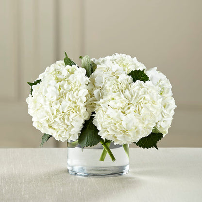 White Hydrangea Bouquet –  A Bloom Depot, Pomona CA